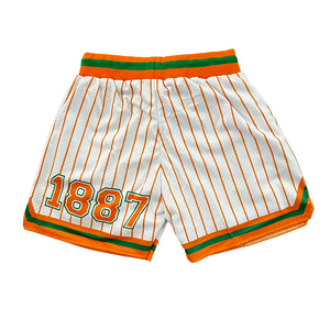 FAMU Shorts